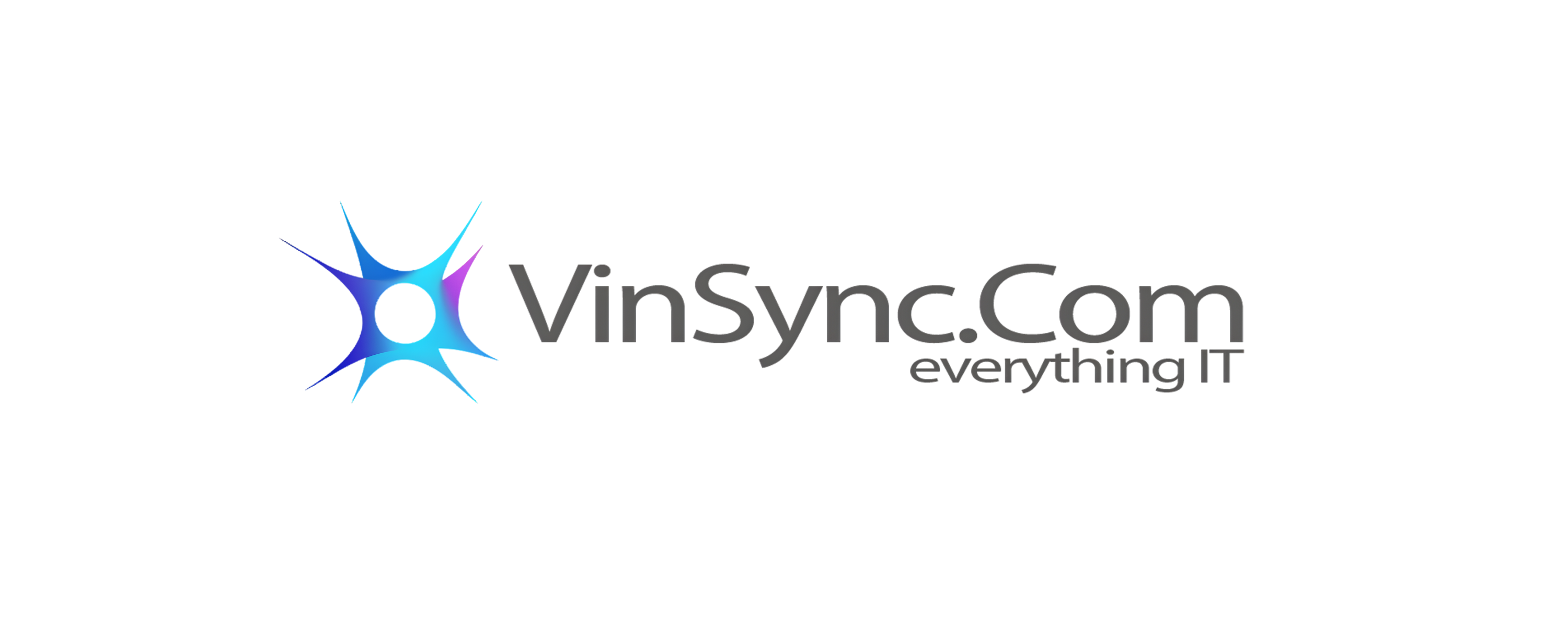 Vinsync logo